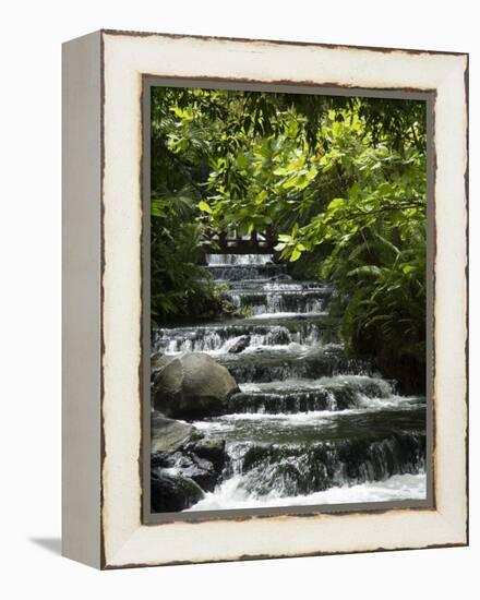 Tabacon Hot Springs, Volcanic Hot Springs Fed from the Arenal Volcano, Arenal, Costa Rica-Robert Harding-Framed Premier Image Canvas