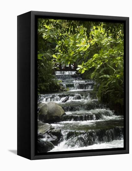 Tabacon Hot Springs, Volcanic Hot Springs Fed from the Arenal Volcano, Arenal, Costa Rica-Robert Harding-Framed Premier Image Canvas