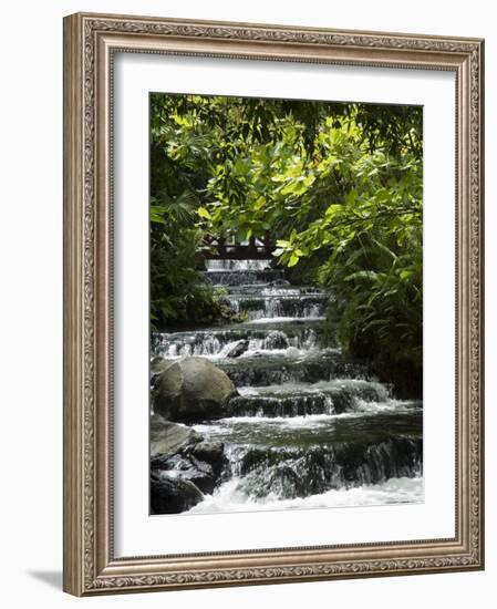 Tabacon Hot Springs, Volcanic Hot Springs Fed from the Arenal Volcano, Arenal, Costa Rica-Robert Harding-Framed Photographic Print