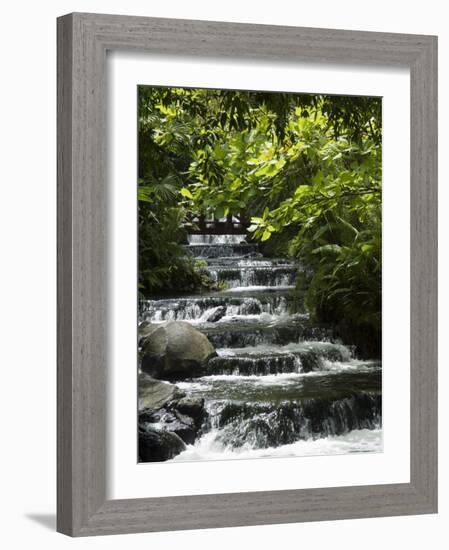 Tabacon Hot Springs, Volcanic Hot Springs Fed from the Arenal Volcano, Arenal, Costa Rica-Robert Harding-Framed Photographic Print