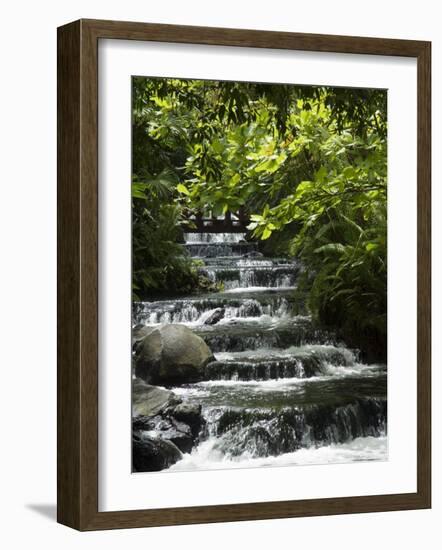 Tabacon Hot Springs, Volcanic Hot Springs Fed from the Arenal Volcano, Arenal, Costa Rica-Robert Harding-Framed Photographic Print