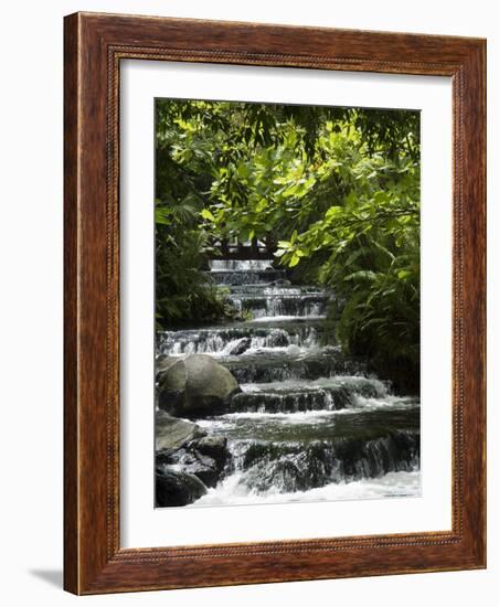 Tabacon Hot Springs, Volcanic Hot Springs Fed from the Arenal Volcano, Arenal, Costa Rica-Robert Harding-Framed Photographic Print