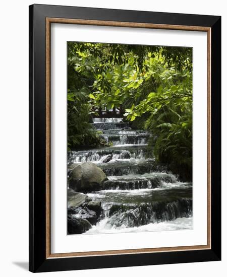 Tabacon Hot Springs, Volcanic Hot Springs Fed from the Arenal Volcano, Arenal, Costa Rica-Robert Harding-Framed Photographic Print