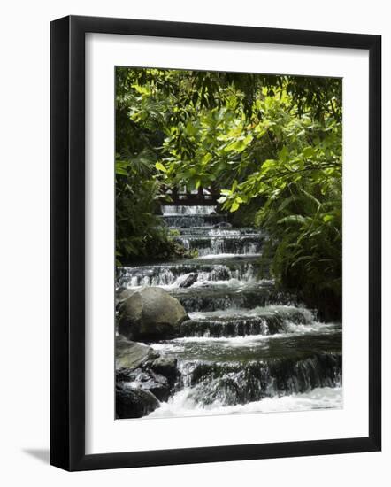 Tabacon Hot Springs, Volcanic Hot Springs Fed from the Arenal Volcano, Arenal, Costa Rica-Robert Harding-Framed Photographic Print