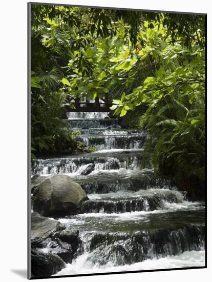 Tabacon Hot Springs, Volcanic Hot Springs Fed from the Arenal Volcano, Arenal, Costa Rica-Robert Harding-Mounted Photographic Print