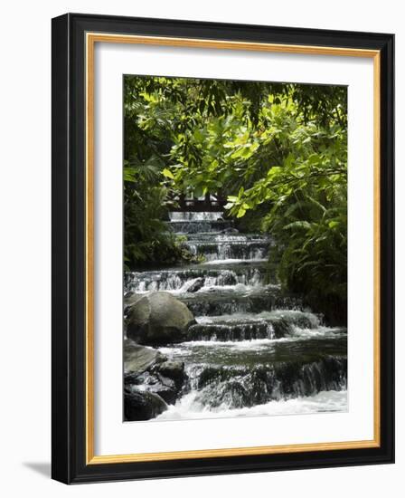 Tabacon Hot Springs, Volcanic Hot Springs Fed from the Arenal Volcano, Arenal, Costa Rica-Robert Harding-Framed Photographic Print