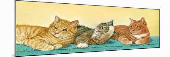 Tabbies-Janet Pidoux-Mounted Giclee Print