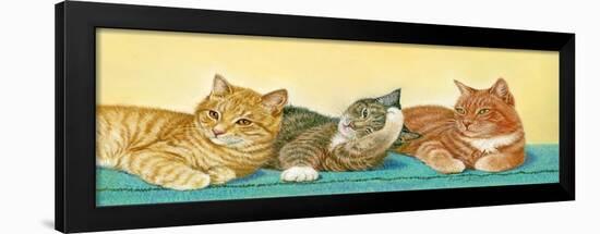 Tabbies-Janet Pidoux-Framed Giclee Print