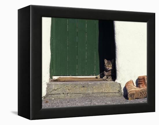 Tabby Cat Resting in Open Doorway, Italy-Adriano Bacchella-Framed Premier Image Canvas