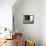 Tabby Cat Resting in Open Doorway, Italy-Adriano Bacchella-Framed Premier Image Canvas displayed on a wall