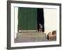 Tabby Cat Resting in Open Doorway, Italy-Adriano Bacchella-Framed Photographic Print