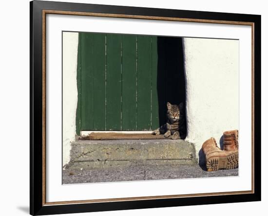 Tabby Cat Resting in Open Doorway, Italy-Adriano Bacchella-Framed Photographic Print