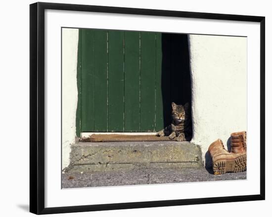 Tabby Cat Resting in Open Doorway, Italy-Adriano Bacchella-Framed Photographic Print