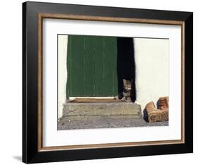 Tabby Cat Resting in Open Doorway, Italy-Adriano Bacchella-Framed Photographic Print