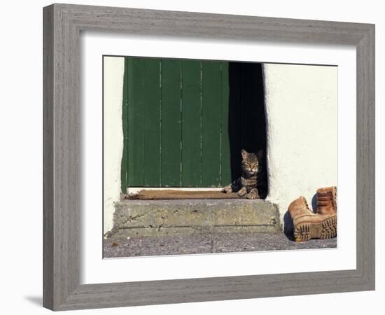 Tabby Cat Resting in Open Doorway, Italy-Adriano Bacchella-Framed Photographic Print