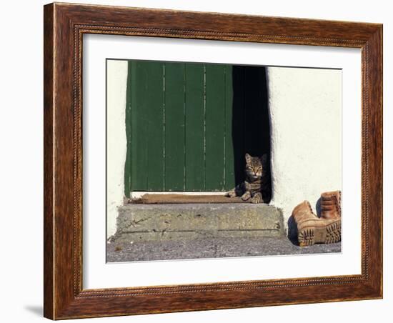 Tabby Cat Resting in Open Doorway, Italy-Adriano Bacchella-Framed Photographic Print