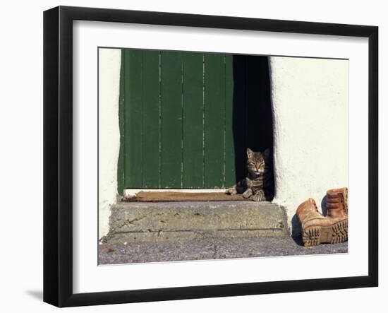 Tabby Cat Resting in Open Doorway, Italy-Adriano Bacchella-Framed Photographic Print