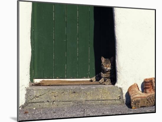 Tabby Cat Resting in Open Doorway, Italy-Adriano Bacchella-Mounted Photographic Print