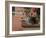 Tabby Cat Resting on Garden Terrace, Italy-Adriano Bacchella-Framed Photographic Print