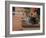 Tabby Cat Resting on Garden Terrace, Italy-Adriano Bacchella-Framed Photographic Print