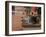 Tabby Cat Resting on Garden Terrace, Italy-Adriano Bacchella-Framed Photographic Print