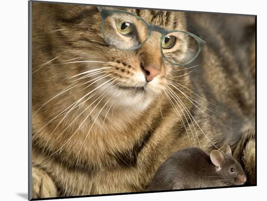 Tabby Cat Wearing Glasses Watches Mouse-null-Mounted Photographic Print