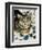 Tabby Cat-Anne Robinson-Framed Giclee Print