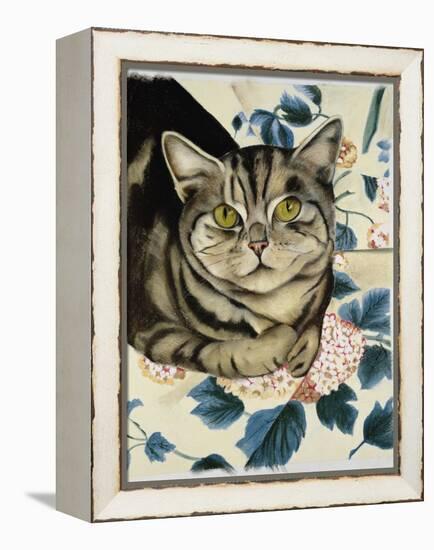 Tabby Cat-Anne Robinson-Framed Premier Image Canvas