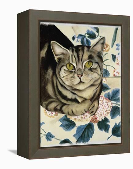 Tabby Cat-Anne Robinson-Framed Premier Image Canvas