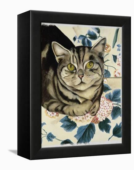 Tabby Cat-Anne Robinson-Framed Premier Image Canvas