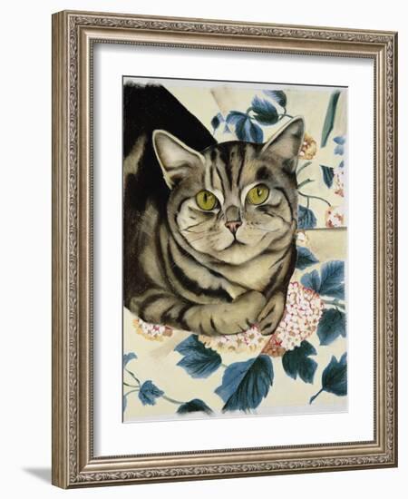 Tabby Cat-Anne Robinson-Framed Giclee Print