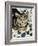 Tabby Cat-Anne Robinson-Framed Giclee Print