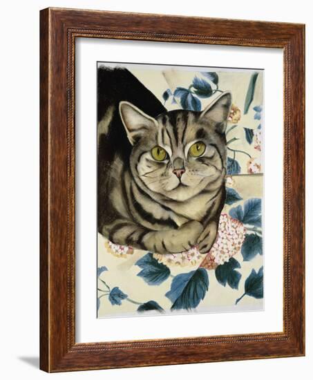 Tabby Cat-Anne Robinson-Framed Giclee Print