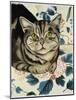 Tabby Cat-Anne Robinson-Mounted Giclee Print