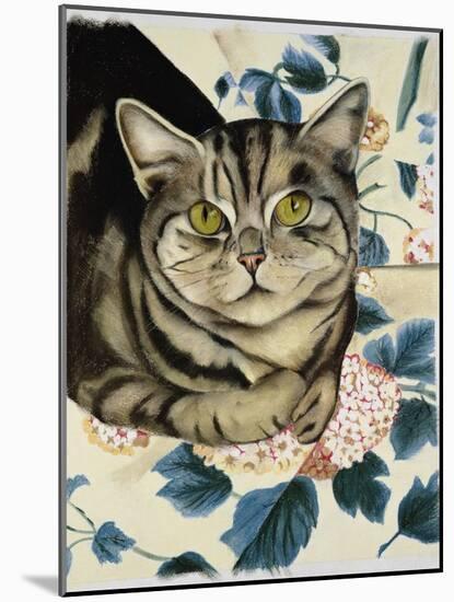 Tabby Cat-Anne Robinson-Mounted Giclee Print