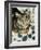 Tabby Cat-Anne Robinson-Framed Giclee Print