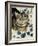 Tabby Cat-Anne Robinson-Framed Giclee Print