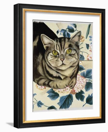 Tabby Cat-Anne Robinson-Framed Giclee Print