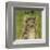 Tabby (grey) (square)-John W^ Golden-Framed Art Print