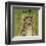 Tabby (grey) (square)-John W^ Golden-Framed Art Print