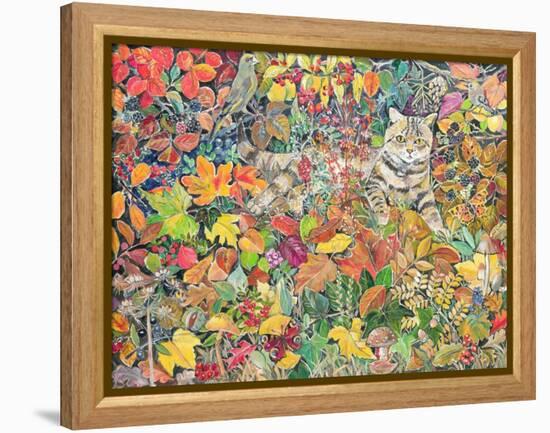 Tabby in Autumn, 1996-Hilary Jones-Framed Premier Image Canvas