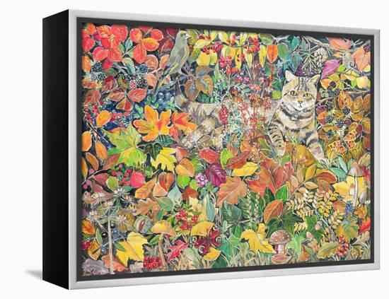 Tabby in Autumn, 1996-Hilary Jones-Framed Premier Image Canvas