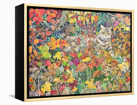 Tabby in Autumn, 1996-Hilary Jones-Framed Premier Image Canvas