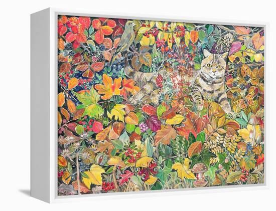 Tabby in Autumn, 1996-Hilary Jones-Framed Premier Image Canvas