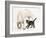 Tabby Kitten, Fosset, 10 Weeks, with Great Dane Puppy, Tia, 14 Weeks-Mark Taylor-Framed Photographic Print