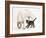 Tabby Kitten, Fosset, 10 Weeks, with Great Dane Puppy, Tia, 14 Weeks-Mark Taylor-Framed Photographic Print