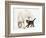 Tabby Kitten, Fosset, 10 Weeks, with Great Dane Puppy, Tia, 14 Weeks-Mark Taylor-Framed Photographic Print