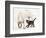 Tabby Kitten, Fosset, 10 Weeks, with Great Dane Puppy, Tia, 14 Weeks-Mark Taylor-Framed Photographic Print