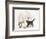 Tabby Kitten, Fosset, 10 Weeks, with Great Dane Puppy, Tia, 14 Weeks-Mark Taylor-Framed Photographic Print