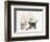 Tabby Kitten, Fosset, 10 Weeks, with Great Dane Puppy, Tia, 14 Weeks-Mark Taylor-Framed Photographic Print